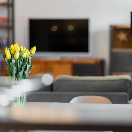 Solve Apartment